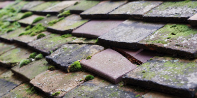 Upend roof repair costs
